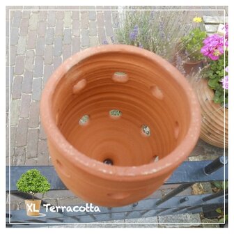 lieveheersbeestjeswoning-terracotta-luizenbestrijding