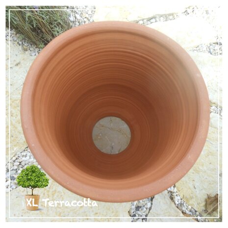 terracotta-rabarberpot-bleekpot