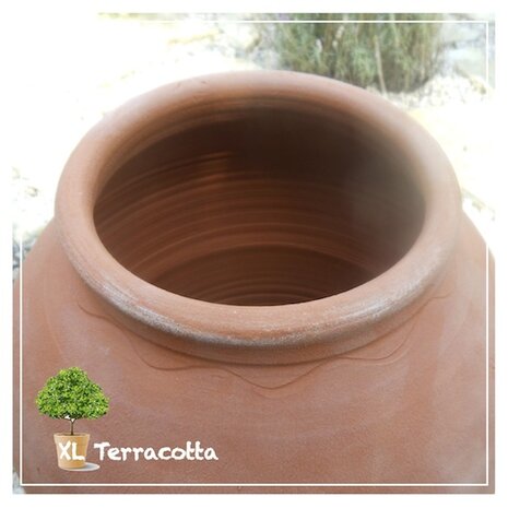 rabarberpot-trekpot-bleekpot-terracotta