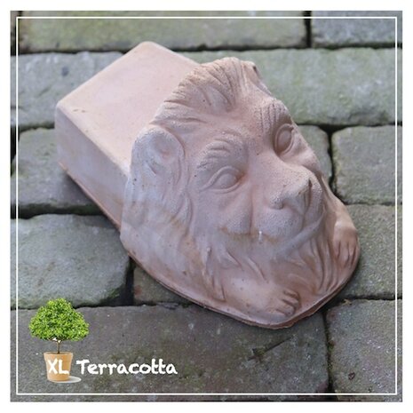 potvoetjes-leeuwenhoofd-groot-terracotta