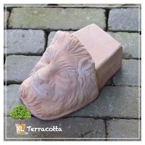 terracotta-potvoetjes-groot-leeuwenhoofdje