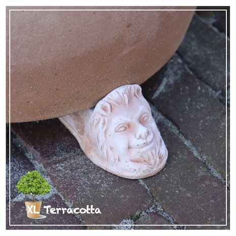 terracotta-potvoetjes-leeuwenhoofd-klein