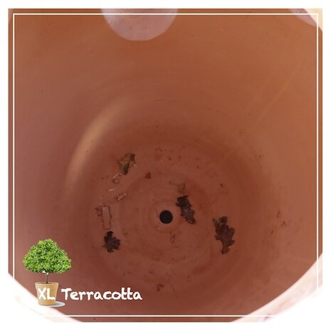 terracotta-aardbeien-afwatering